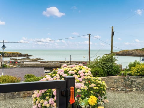 View | Harbour View, Cemaes Bay