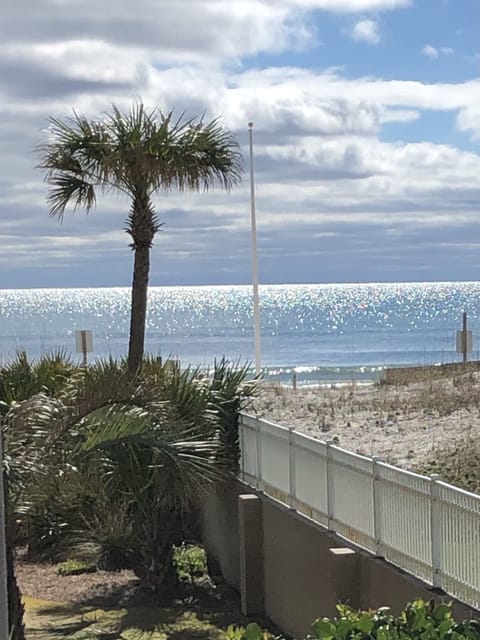 Side view from the patio