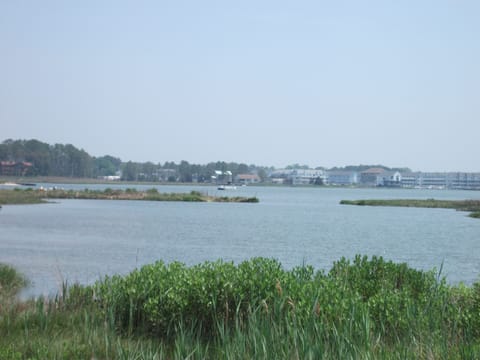 Bethany Bay amenities