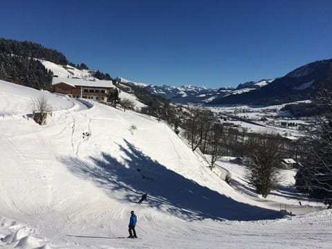 Appartement Franbichl - Appartement, 4 SZ, 3 Bäder Apartment in Salzburgerland