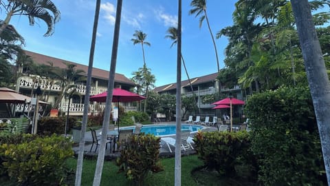 Pool and Garden area of Kona Islander Inn.