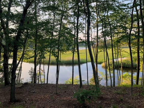 View from porch
