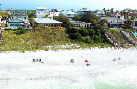 Aerial View - Butterfly Bluff