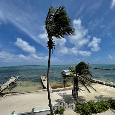 the Caribbean Sea