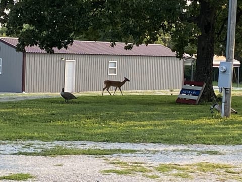 Side view of building. With deer crossing!