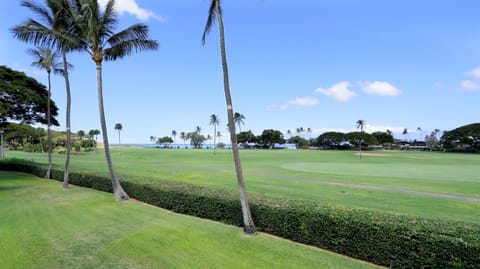 J207 Ocean Golf Course Views