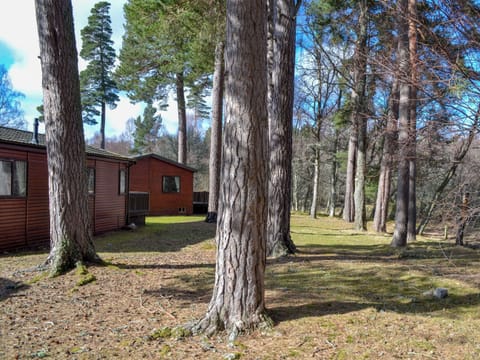 Setting | Royal Deeside Woodland Lodge, Dinnet, near Ballater