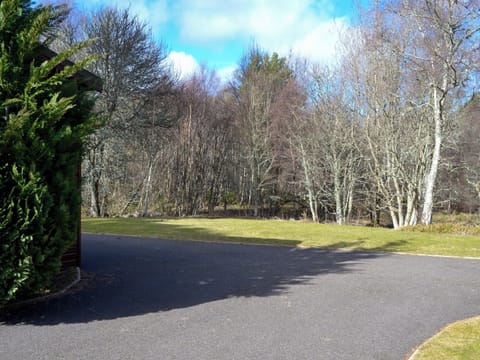 Setting | Royal Deeside Woodland Lodge, Dinnet, near Ballater