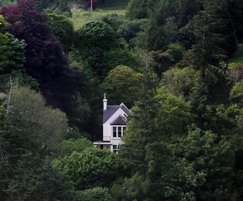 House it's own forest