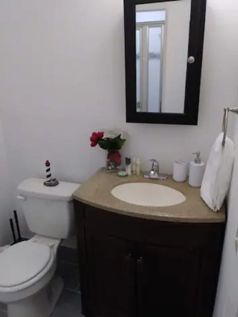 Bathroom and Amenities.