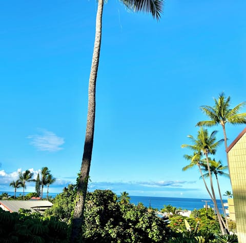Romantic Lanai - Pics just can’t capture peekaboo ocean view! Uniquely Peaceful!