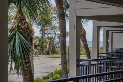 Ocean View!