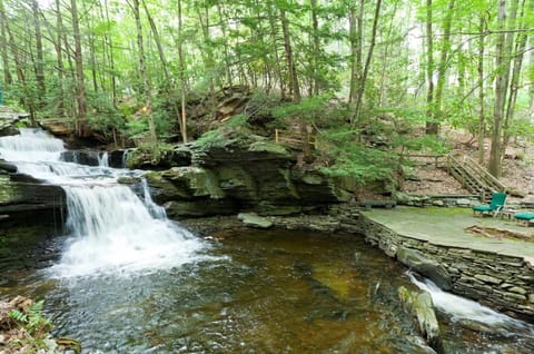 Waterfall & Swimming Hole