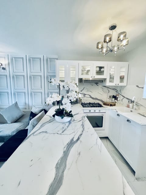 Kitchen with Island Unit