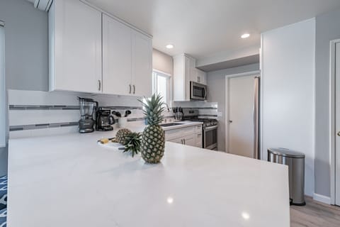 Quartz counters,  stainless steel, fully stocked kitchen, 1st floor