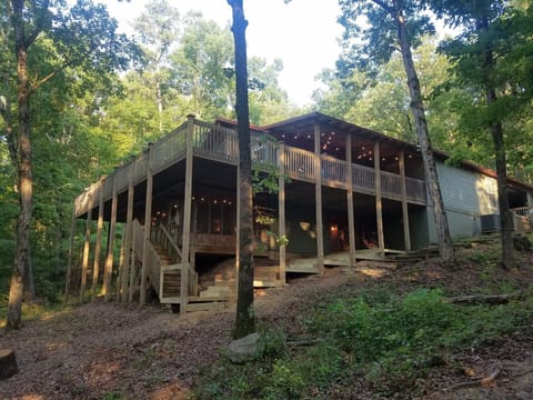 Surrounded by forest