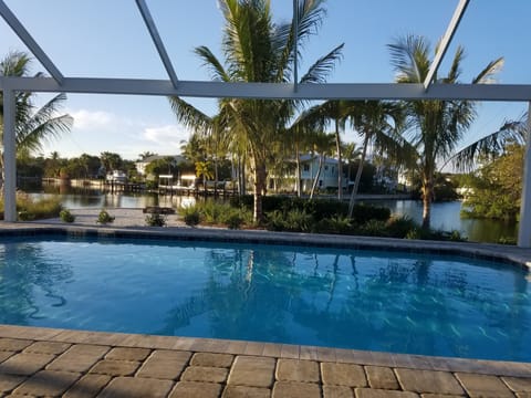  pool area....picture window screens