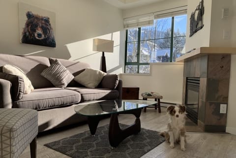 Lots of Light & Mountain Views from Living Room