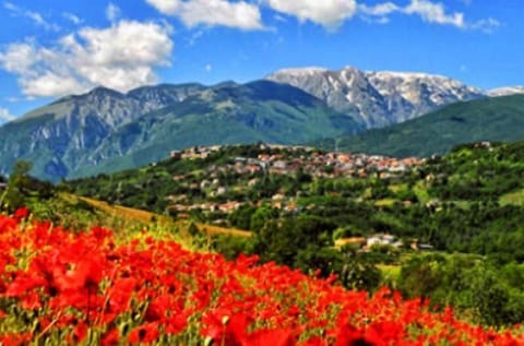 welcome to House of the sun on the land of beautiful tradition and spectacular view on the nature hearth