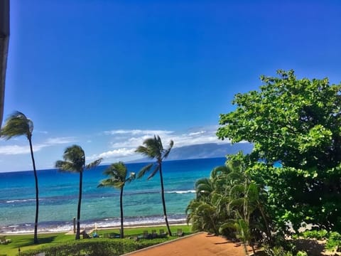 Relaxing ocean breezes flow past and through this property!