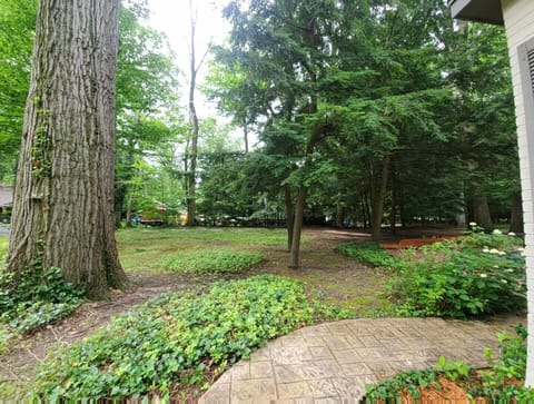 House sits up on a hill so the yard is a private sanctuary