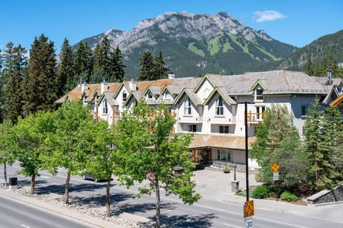 Summer on Banff Avenue — green trees line the street with hiking trails visible on the ridge