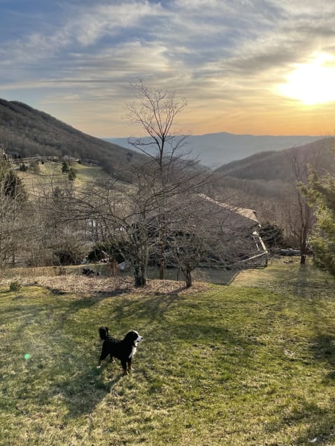 From the rear of the house