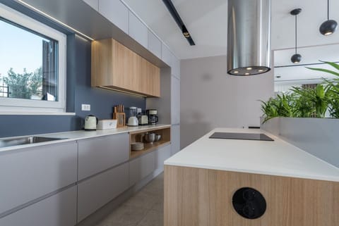 Modern and fully equipped kitchen in the luxury family villa Primavera Sukosan with complete privacy