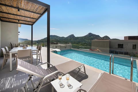 Private 26m2 swimming pool