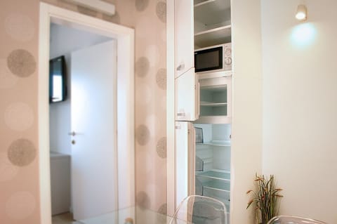 big fridge, freezer and microvawe 