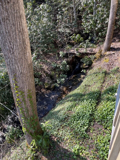 View from deck over looking Stoney Creek