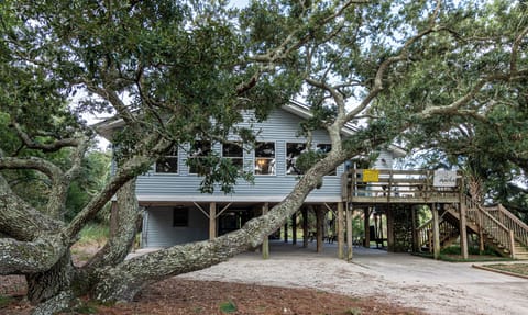 Chaika from the front.