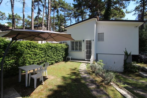 Garden. Fenced garden