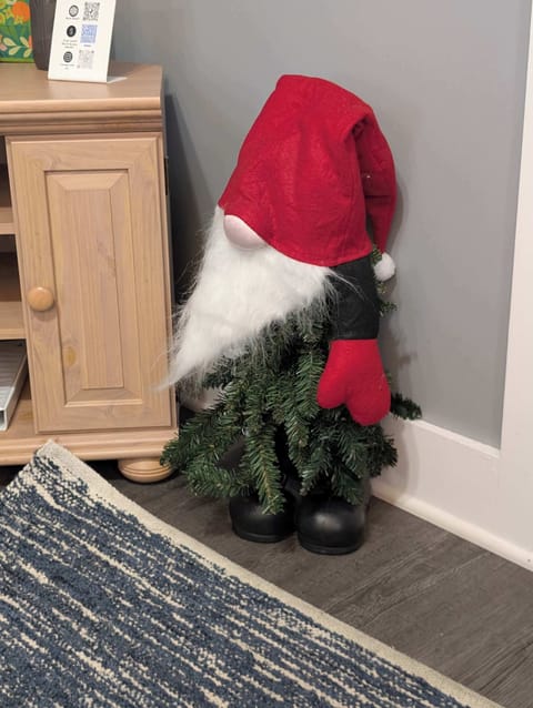Merry Christmas to all my Gnomies!