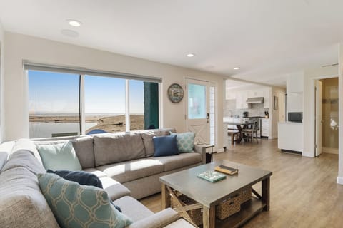 Living Area (Pull-out couch)