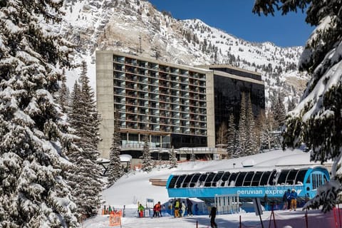 The Cliff Club 