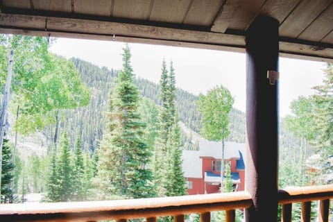 View of the slopes and the Aspens