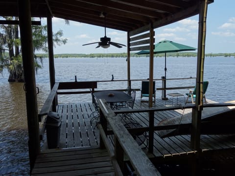 Welcome to Gator Lodge!