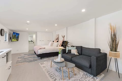 Living Room/Master Bedroom