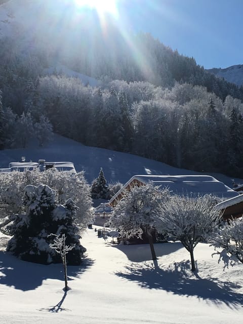 Snow and ski sports
