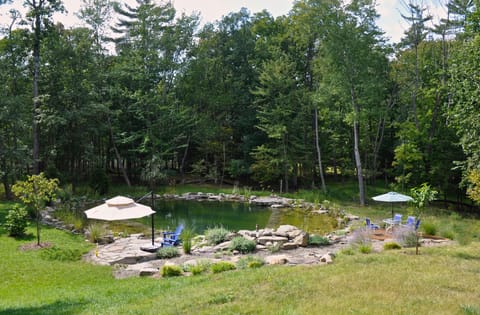 View of the pond/pool from the back deck