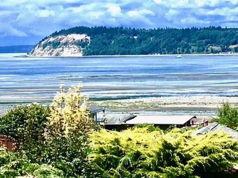 Useless Bay and Double Bluff