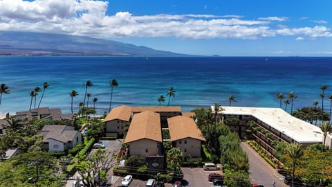 Aerial view of the resort and the beach