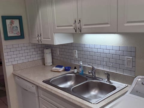Dishwasher and Double Sink