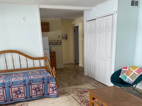 Bottom Floor Living Room with Trundle