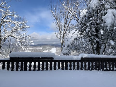 Wonderful Windham Winter Wonderland! 