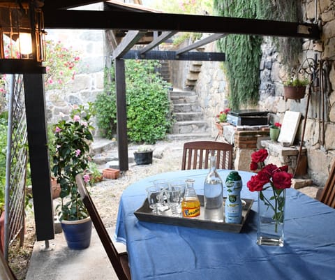 Shaded dining with a plancha/ Coin repas/détente ombragé avec plancha