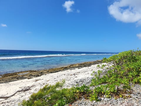 The beach in front of the villa