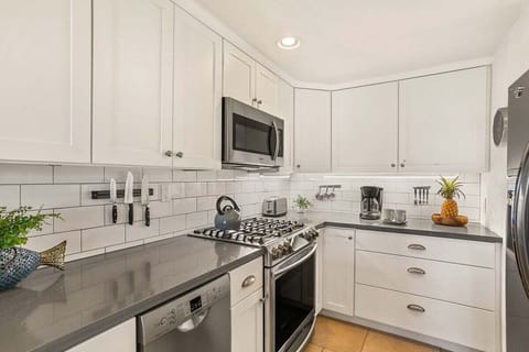 Kihei Akahi C302 kitchen 1