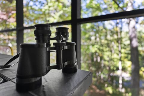 Enjoy the gas fire pit on the screened in porch! Beautiful views!!